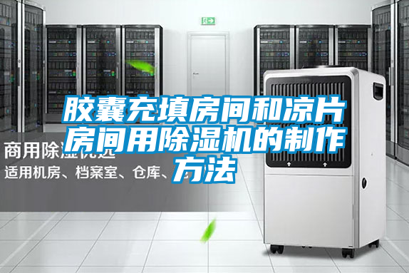 胶囊充填房间和凉片房间用91抖音免费看片的制作方法