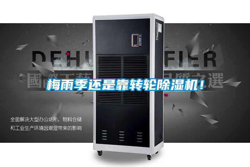 梅雨季还是靠转轮91抖音免费看片！