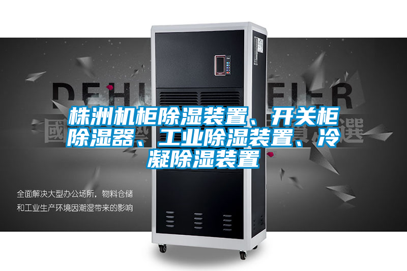株洲机柜除湿装置、开关柜除湿器、工业除湿装置、冷凝除湿装置