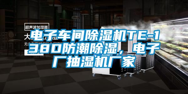电子车间91抖音免费看片TE-138D防潮除湿，电子厂抽湿机厂家