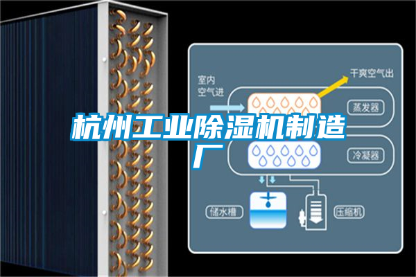 杭州工业91抖音免费看片制造厂