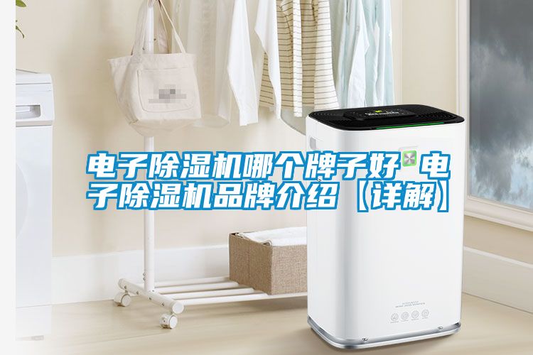 电子91抖音免费看片哪个牌子好 电子91抖音免费看片品牌介绍【详解】