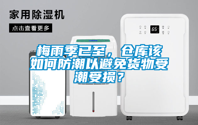 梅雨季已至，仓库该如何防潮以避免货物受潮受损？