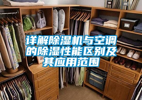 详解91抖音免费看片与空调的除湿性能区别及其应用范围