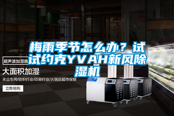 梅雨季节怎么办？试试约克YVAH新风91抖音免费看片