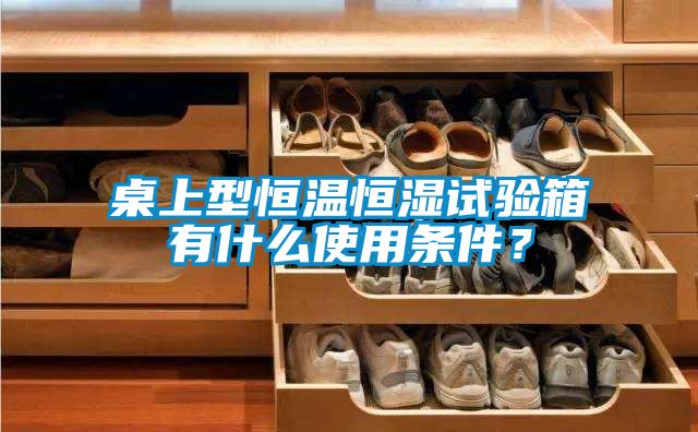 桌上型恒温恒湿试验箱有什么使用条件？