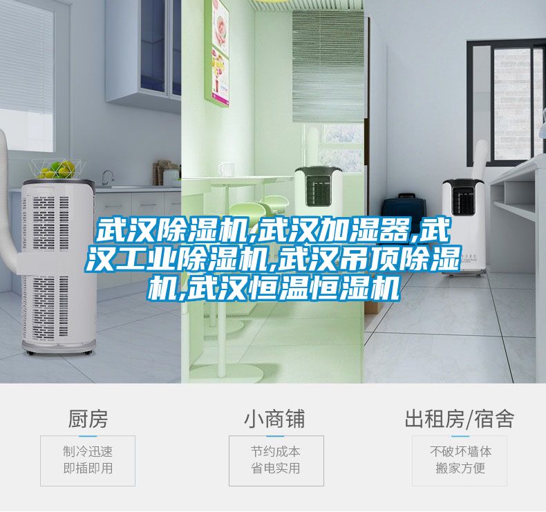 武汉91抖音免费看片,武汉加湿器,武汉工业91抖音免费看片,武汉吊顶91抖音免费看片,武汉恒温恒湿机