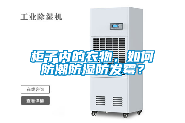 柜子内的衣物，如何防潮防湿防发霉？