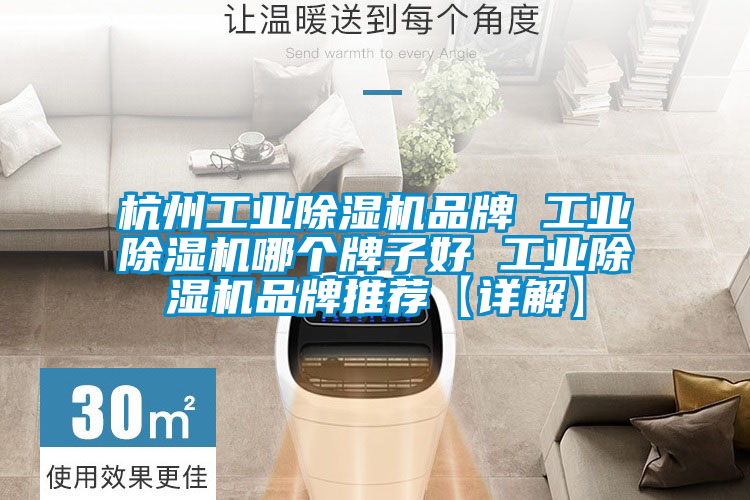 杭州工业91抖音免费看片品牌 工业91抖音免费看片哪个牌子好 工业91抖音免费看片品牌推荐【详解】