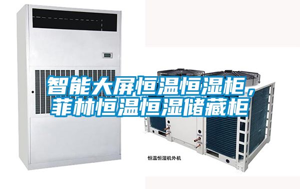 智能大屏恒温恒湿柜，菲林恒温恒湿储藏柜