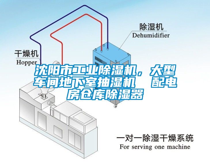 沈阳市工业91抖音免费看片，大型车间地下室抽湿机  配电房仓库除湿器