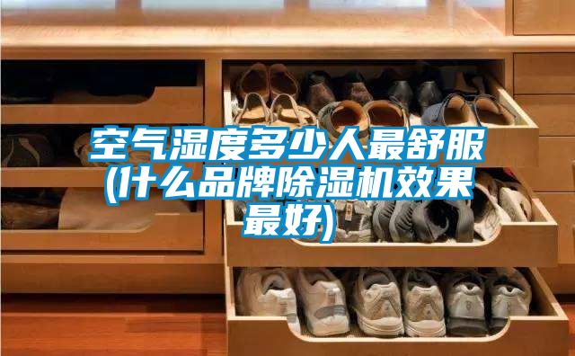 空气湿度多少人最舒服(什么品牌91抖音免费看片效果最好)