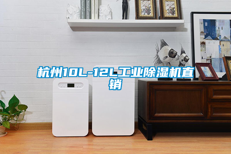 杭州10L-12L工业91抖音免费看片直销