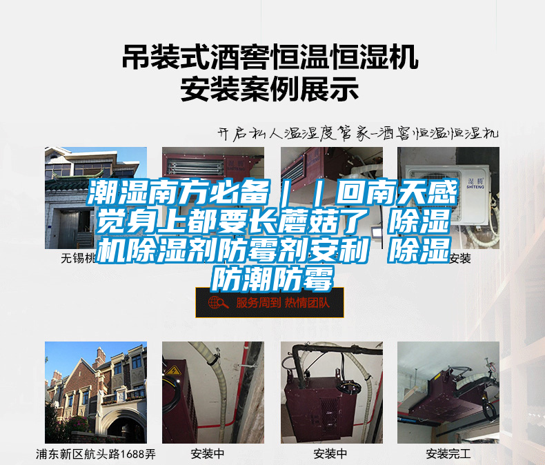 潮湿南方必备｜｜回南天感觉身上都要长蘑菇了 91抖音免费看片除湿剂防霉剂安利 除湿防潮防霉