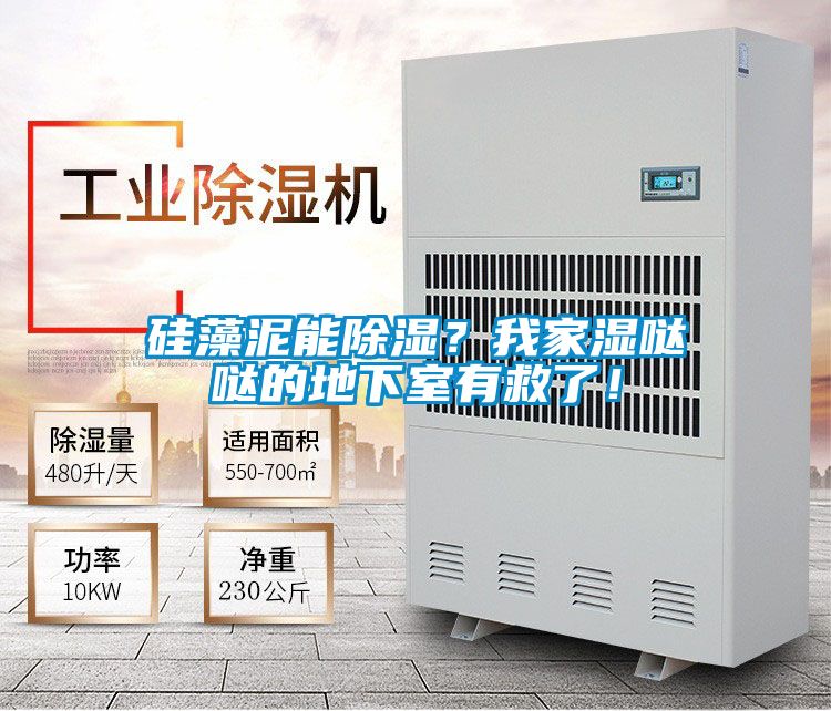 硅藻泥能除湿？我家湿哒哒的地下室有救了！
