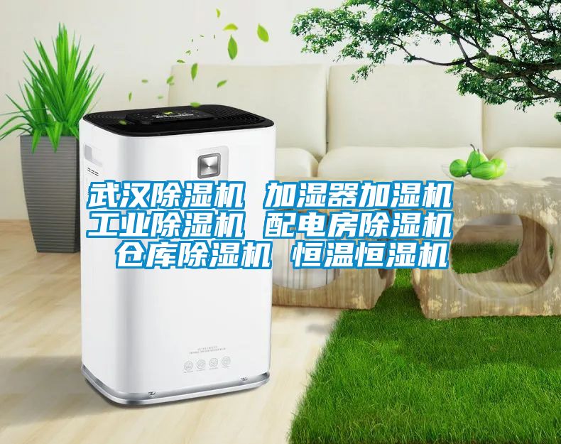 武汉91抖音免费看片 加湿器加湿机 工业91抖音免费看片 配电房91抖音免费看片 仓库91抖音免费看片 恒温恒湿机