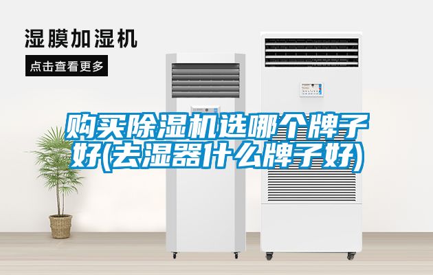 购买91抖音免费看片选哪个牌子好(去湿器什么牌子好)
