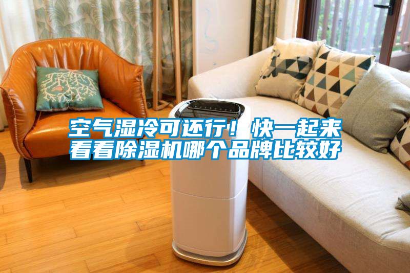 空气湿冷可还行！快一起来看看91抖音免费看片哪个品牌比较好