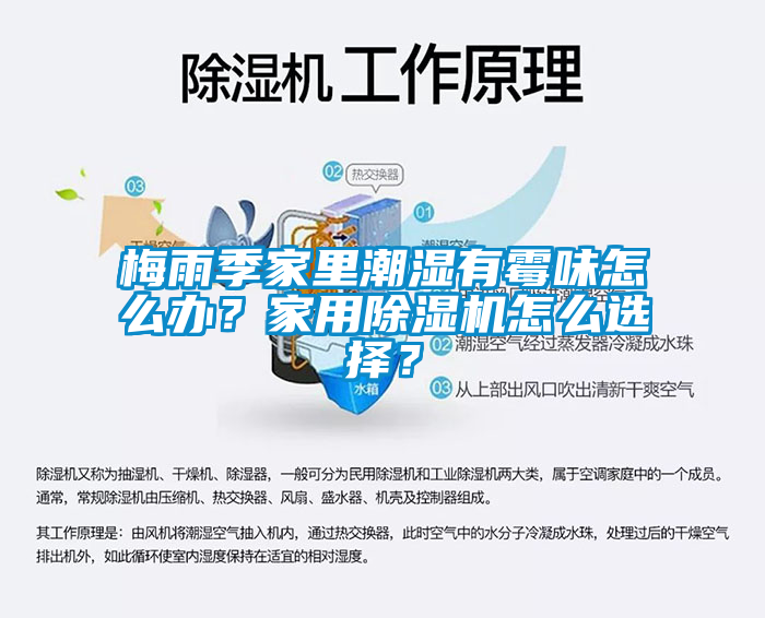 梅雨季家里潮湿有霉味怎么办？家用91抖音免费看片怎么选择？