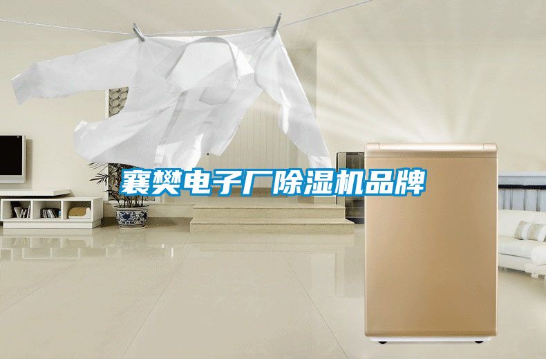 襄樊电子厂91抖音免费看片品牌