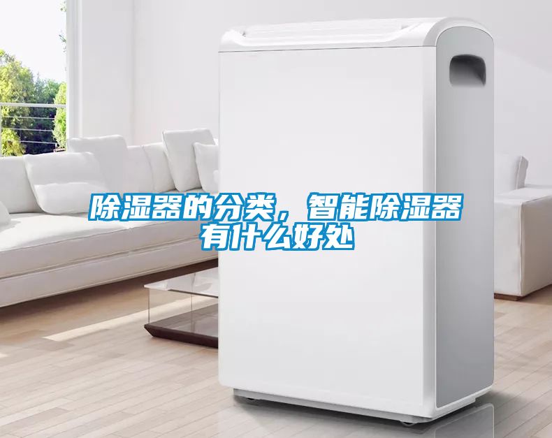 除湿器的分类，智能除湿器有什么好处