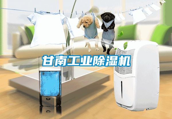 甘南工业91抖音免费看片