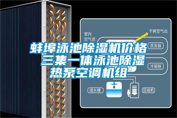 蚌埠泳池91抖音免费看片价格 三集一体泳池除湿热泵空调机组