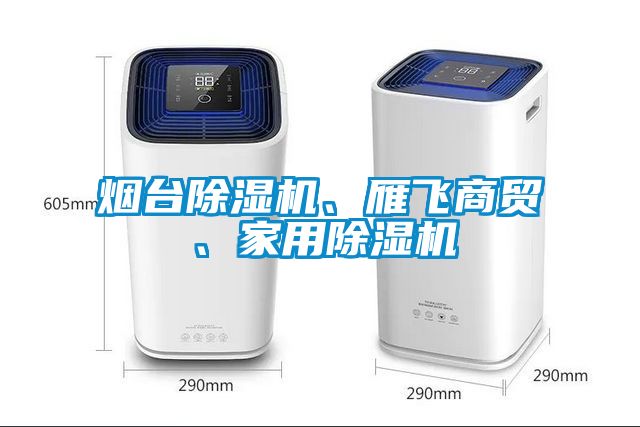 烟台91抖音免费看片、雁飞商贸、家用91抖音免费看片