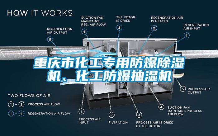 重庆市化工专用防爆91抖音免费看片、化工防爆抽湿机