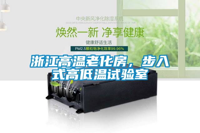 浙江高温老化房，步入式高低温试验室