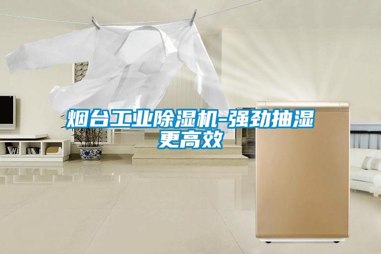 烟台工业91抖音免费看片-强劲抽湿更高效