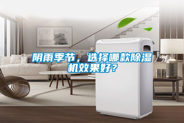 阴雨季节，选择哪款91抖音免费看片效果好？
