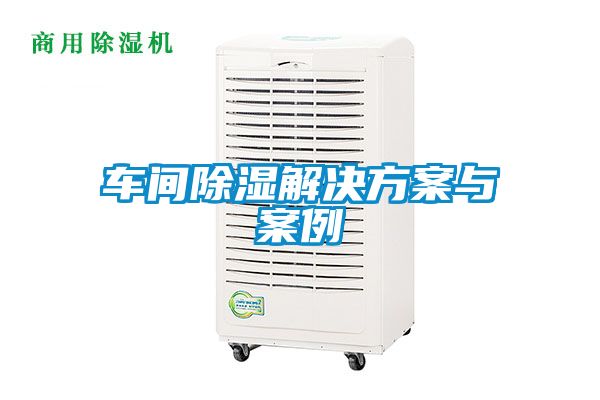 车间除湿成人抖音APP污下载与案例