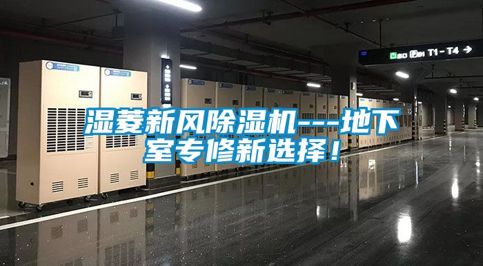 湿菱新风91抖音免费看片---地下室专修新选择！