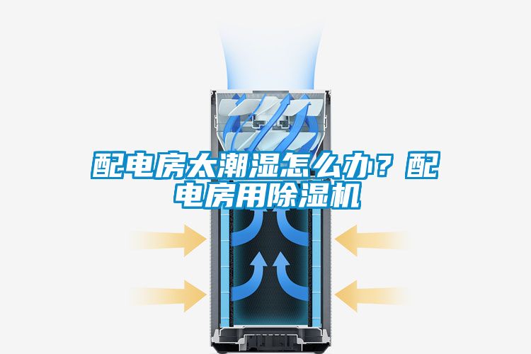 配电房太潮湿怎么办？配电房用91抖音免费看片