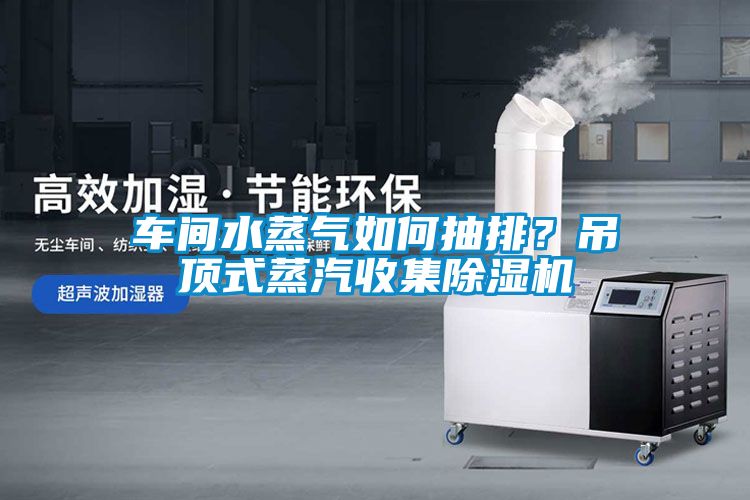 车间水蒸气如何抽排？吊顶式蒸汽收集91抖音免费看片