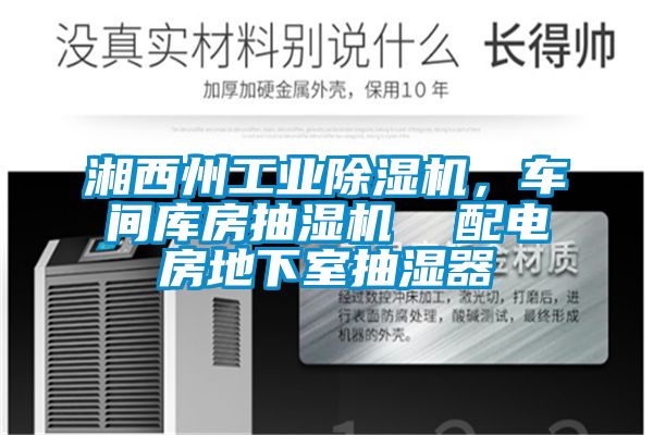 湘西州工业91抖音免费看片，车间库房抽湿机  配电房地下室抽湿器