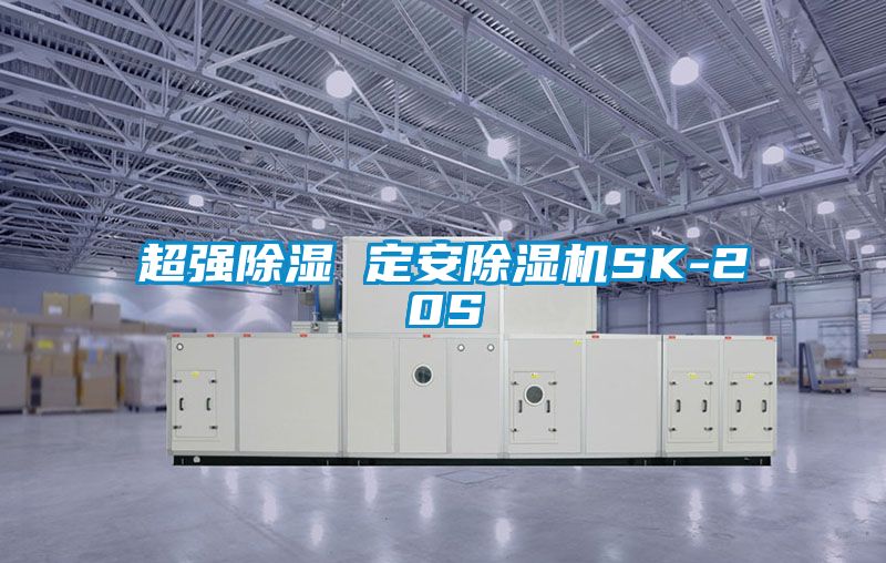 超强除湿 定安91抖音免费看片SK-20S
