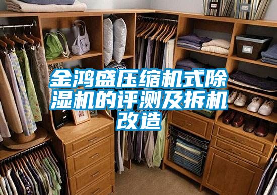 金鸿盛压缩机式91抖音免费看片的评测及拆机改造