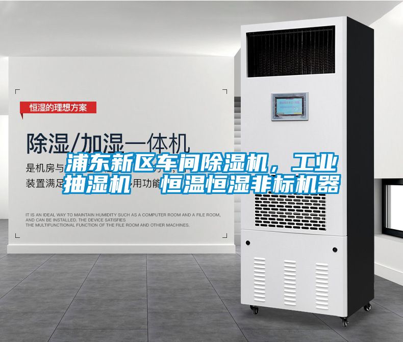 浦东新区车间91抖音免费看片，工业抽湿机  恒温恒湿非标机器