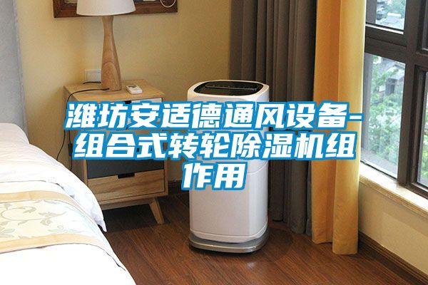 潍坊安适德通风设备-组合式转轮91抖音免费看片组作用