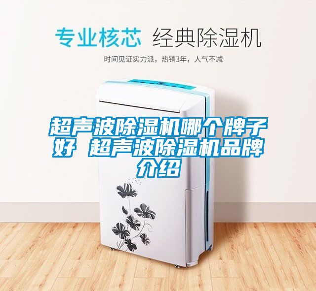 超声波91抖音免费看片哪个牌子好 超声波91抖音免费看片品牌介绍