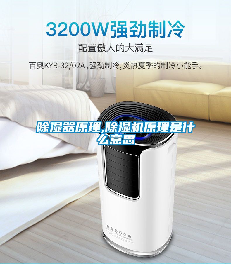 除湿器原理,91抖音免费看片原理是什么意思