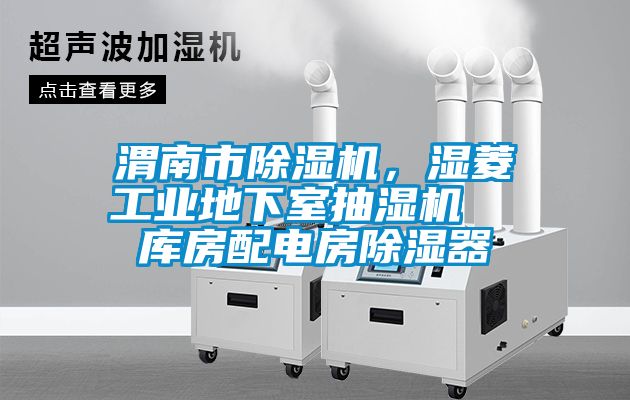 渭南市91抖音免费看片，湿菱工业地下室抽湿机  库房配电房除湿器