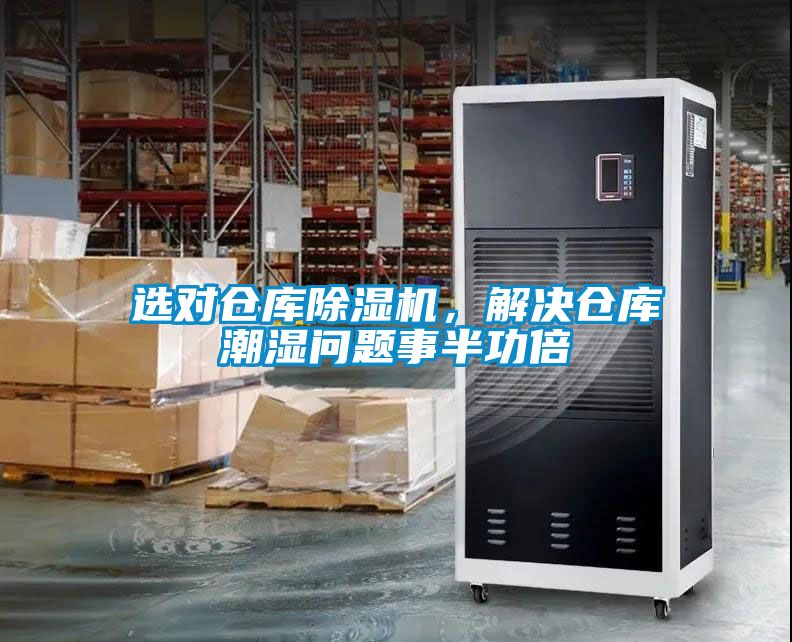 选对仓库91抖音免费看片，解决仓库潮湿问题事半功倍