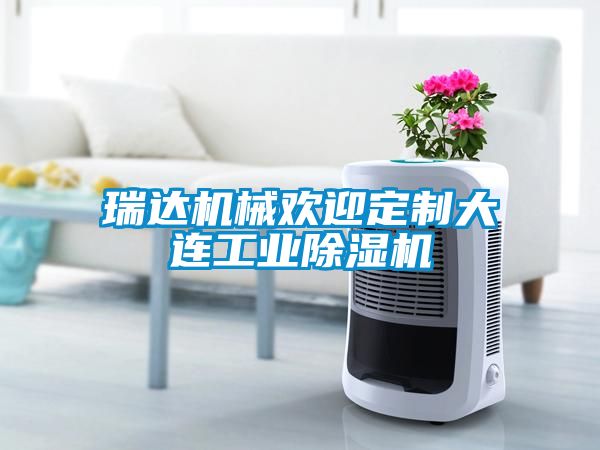 瑞达机械欢迎定制大连工业91抖音免费看片