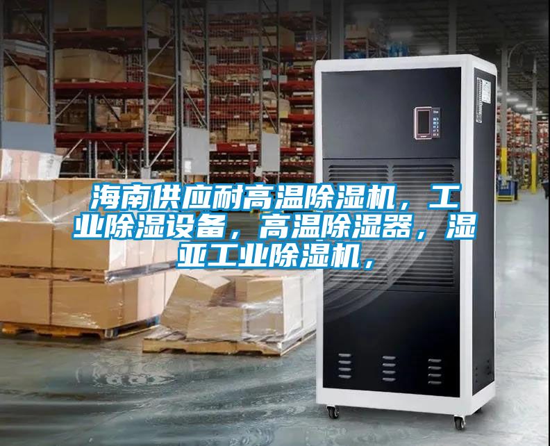 海南供应耐高温91抖音免费看片，工业除湿设备，高温除湿器，湿亚工业91抖音免费看片，