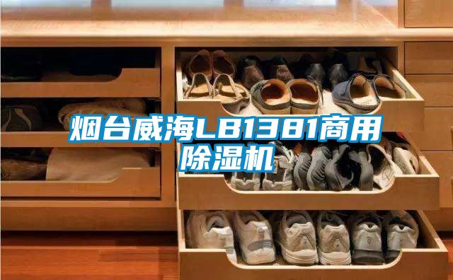 烟台威海LB1381商用91抖音免费看片