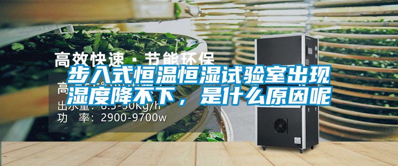 步入式恒温恒湿试验室出现湿度降不下，是什么原因呢