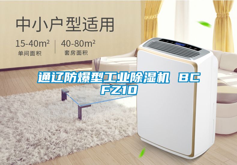 通辽防爆型工业91抖音免费看片 BCFZ10